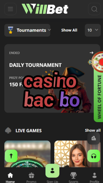 Casino Bac Bo - Top Vietnamese Casino Game-www.bdqngd.com